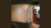 Best Window Glass Shower Door Repair Henderson