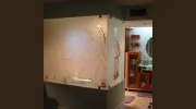 Best Window Glass Shower Door Repair Henderson