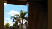 Desert Blind and Shutter Repair